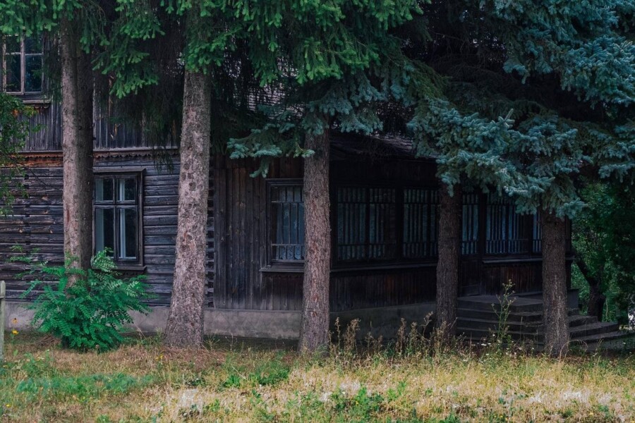 Ile kosztuje dom z bali 100m2 i od czego zależy jego cena?